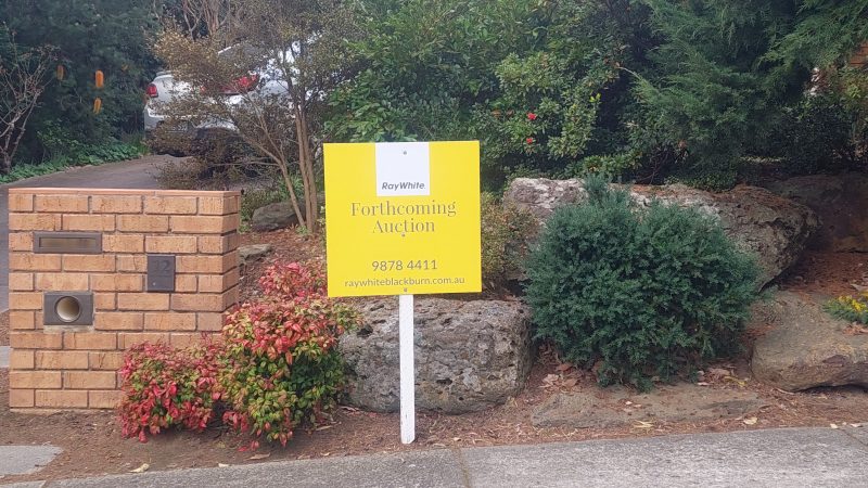 Ray White auction sign